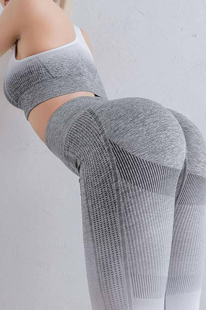 LGC Gradient High Waist Sports Leggings - Le Grand Chevalier Le Grand Chevalier Trendsi Leggings